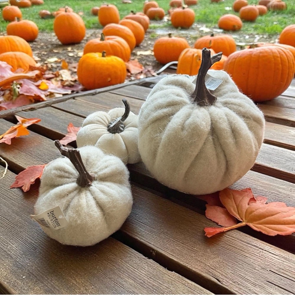 NWT Two's Company Plush White Pumpkin Set 3 Burton & Burton $52.65 Value